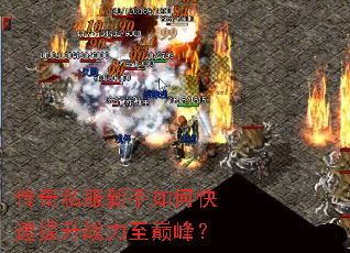 ����˽��������ο�������ս�����۷壿