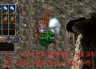 为什么传奇老玩家被尊称为资深玩家?他们有哪些独特的游戏心得? 为什么传奇老玩家被尊称为资深玩家?他们有哪些独特的游戏心得?