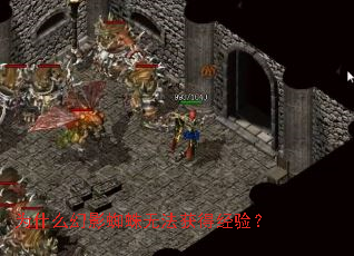 Ϊʲô��Ӱ֩���޷���þ��飿