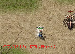 ������Ϸ�еķ�Ь�����ﹺ��