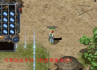 ������Ϸ�еķ�Ь�����ﹺ��