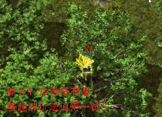 �¿�1.76��������ЩȤζ�淨ֵ��һ�ԣ�