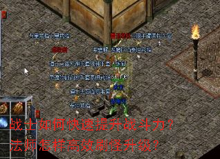 սʿ��ο�������ս��������ʦ������Чˢ��������