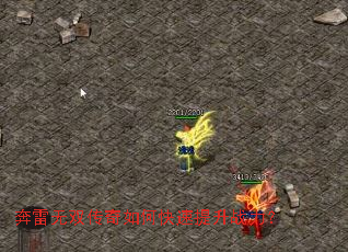 ������˫������ο�������ս����