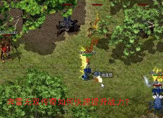 ������˫������ο�������ս����