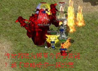 ������ϷΪ���������ܻ�ӭ�����ֹ��Դ���һ̽����