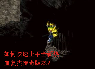 ��ο�������ȫ����Ѫ���Ŵ���汾��