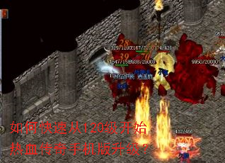 ��ο��ٴ�120����ʼ��Ѫ�����ֻ���������