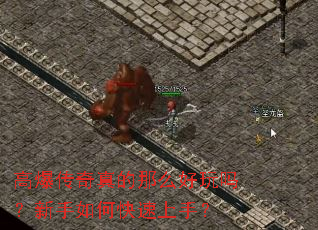 �߱����������ô������������ο������֣�