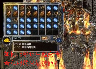 ����������ó��䴫��˽���Ļ�ǽ���ܣ�