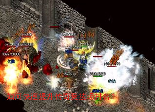 ��ο����������澺����������