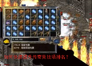 ��ο����������澺����������