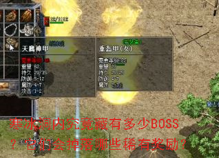 �������ھ������ж���BOSS�����ǻ������Щϡ�н�����