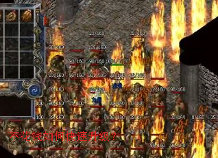 ����Ǯ��ο���������