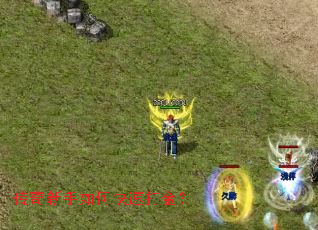 ����������ο��ٴ��