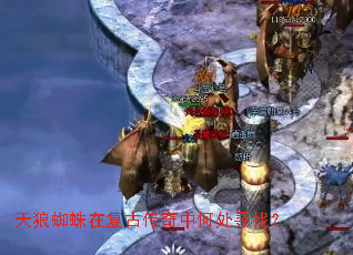 ����֩���ڸ��Ŵ����кδ�Ѱ�ң�