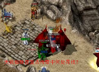 ����֩���ڸ��Ŵ����кδ�Ѱ�ң�