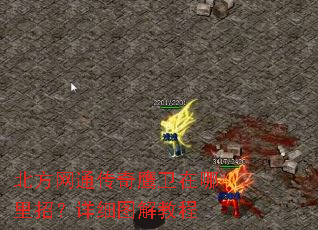 ������ͨ����ӥ���������У���ϸͼ��̳�