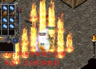 ������ͨ����ӥ���������У���ϸͼ��̳�