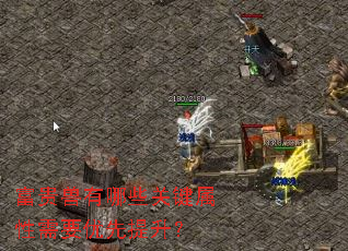 ����������Щ�ؼ�������Ҫ����������