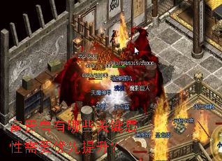 ����������Щ�ؼ�������Ҫ����������