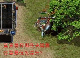 ����������Щ�ؼ�������Ҫ����������