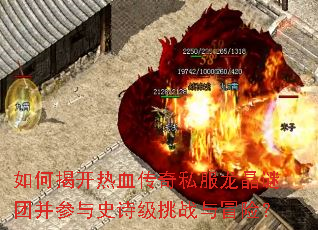 ��νҿ���Ѫ����˽���������Ų�����ʷʫ����ս��ð�գ�