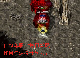 ���浥ְҵÿ��������ο�������ս����