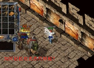 ������ɹ��˳�����