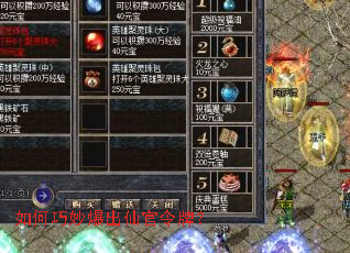 ���������ɹ����ƣ�