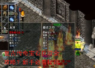 ���Ŵ��汦ʯ��ȡȫ���ԣ����ֱؿ��ؼ�