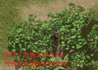 ����������Ĵ����𣿴���δ��װ��̽�ع���