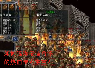 ���ѡ�����ʺ������Ѫ���汦����