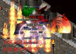 ���ѡ�����ʺ������Ѫ���汦����