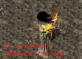 ��ʿ�������ѡ��3.10�����·���ʿ�淨ȫ����