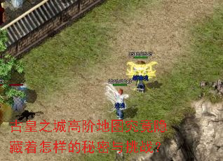 �Ż�֮�Ǹ߽׵�ͼ������������������������ս��