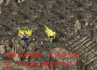 ������Ϸ���ԣ���α���ʧ������Ϊ��������Ϸ���֣�