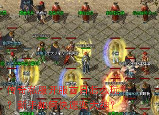 传奇私服开服首日怎么玩?新手如何快速变大神? 传奇私服开服首日怎么玩?新手如何快速变大神?