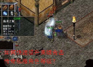 ��ο�������Ӣ�ۺϻ�����˽����ɫ�ȼ���