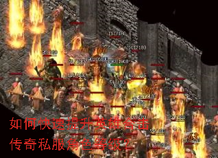 ��ο�������Ӣ�ۺϻ�����˽����ɫ�ȼ���