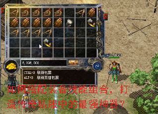 ��δ���װ��������ϣ����촫��˽���е���ǿ������