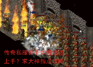 ����˽��������ο������֣������ָ�㹥��