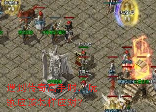 �����������ʱ�����Ӧ������Ӧ�ԣ�