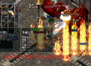 ��ʿ���������������Чˢװ����