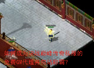 ��γ�Ϊ��ս�۷崫��˽�������GM��������վ�ưԣ�