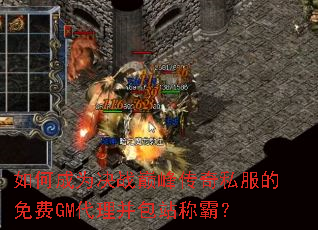 ��γ�Ϊ��ս�۷崫��˽�������GM��������վ�ưԣ�