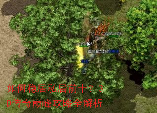 ����Ⱦ�˽��ǰʮ��3D�����۷幥��ȫ����