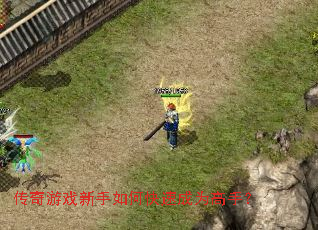 ������Ϸ������ο��ٳ�Ϊ���֣�