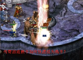 ������Ϸ������ο��ٳ�Ϊ���֣�