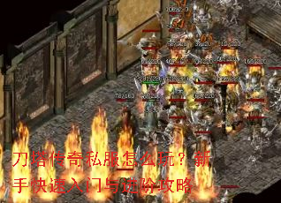 ��������˽����ô�棿���ֿ�����������׹���